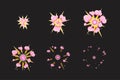 Sprite sheet for cartoon pink fog fire explosion, mobile, flash game effect animation. 8 frames on dark background. Royalty Free Stock Photo