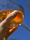 Spritz: italian drink Royalty Free Stock Photo