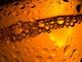 Spritzed Beer Bubbles