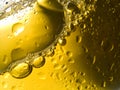 Spritzed Beer Bubbles