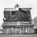 Black and white photograph of rustic and weathered barn with TRUMP Make America Great Again