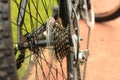 Sprocket of bicycle