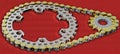 Sprockets and Chain long shot