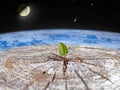 sprout breaking out of a tree against backdrop of space. Global climate change Royalty Free Stock Photo