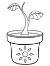 Sprout in a cache-pot - a small young plant - a stalk with two leaves in a flower pot with the sun. Seedling or houseplant - stock
