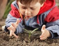 Sprout in children hand Royalty Free Stock Photo