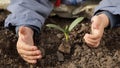 Sprout in children hand Royalty Free Stock Photo