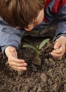 Sprout in children hand Royalty Free Stock Photo