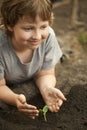 Sprout in children hand Royalty Free Stock Photo