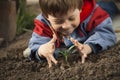 Sprout in children hand Royalty Free Stock Photo