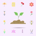 Sprout colored icon. Universal set of nature for website design and development, app development