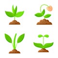 Sprout flat icons plant orgainc sapling vector set