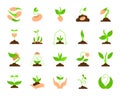 Sprout simple flat color icons vector set