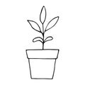 sprout in a flower pot icon, sticker. sketch hand drawn doodle style. monochrome minimalism. seedling, spring, plant Royalty Free Stock Photo