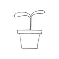 Sprout in a flower pot icon, sticker. sketch hand drawn doodle style. vector monochrome minimalism. seedling, spring, plant, Royalty Free Stock Photo