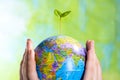 Sprout on the globe on a green background in human hands, renewing the planet, protecting the earth