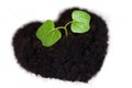 Sprout growing out of a heart shaped soil. Royalty Free Stock Photo
