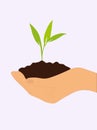 Sprout in hand. New life. Ecology. renewable energy sources. Clean energy.