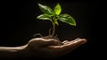 Sprout in hand. Sapling for planting. On a dark background. Garden banner. Ecology concept. Let\'s protect the earth