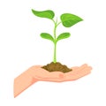 Sprout in hand. Young seedling in handbreadth. Vector illustration of plant new life symbol