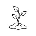 Sprout in hill of earth. Black simple illustration of eco farm, natural cultivation. Linear icon of agriculture, seeds, seedlings