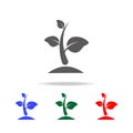 sprout icon. Elements of garden in multi colored icons. Premium quality graphic design icon. Simple icon for websites, web design