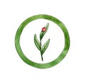 Sprout icon in green circle and ladybug watercolor Royalty Free Stock Photo