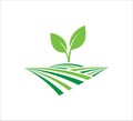 sprout leaf growing in the farm land soil vector icon logo design for agriculture, food crop, hydroponic nursery and farm business