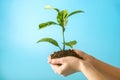 Sprout of new green tree in soil in human hands on blue background. Concept of environmental protection. Earth day Royalty Free Stock Photo