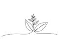 Sprout, one line drawing vector illustration