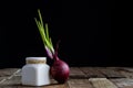 Sprout of onion in water Royalty Free Stock Photo