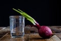 Sprout of onion in water Royalty Free Stock Photo