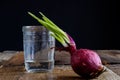 Sprout of onion in water Royalty Free Stock Photo