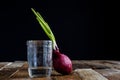 Sprout of onion in water Royalty Free Stock Photo