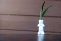 Sprout of orchid tree in the white ceramic human shape pot on the wooden table.