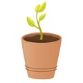 Pot with plant sprout. Flower, plant with leaves in pot. Gardening concept. Royalty Free Stock Photo