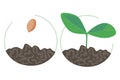 A sprout and seed in the earth in a semicircle are isolated on a white background for start up or agriculture, a vector stock