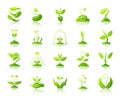Sprout simple green gradient icons vector set