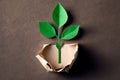 Sprout of small tree with green leaves growing from paper, created with Generative AI technology Royalty Free Stock Photo