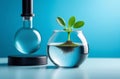 A sprout sprouts in a flask on a blue background Royalty Free Stock Photo