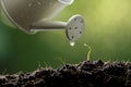 Sprout watered from a watering can on nature background Royalty Free Stock Photo