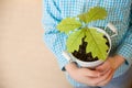 Sprout a young oak tree in a child hands. The concept - the life beginning, care, successful future growth. Oak sapling Royalty Free Stock Photo