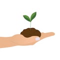 Hand Holding Seedling In Soil, Isolated On White Background Royalty Free Stock Photo