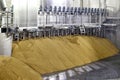 Sprouted barley in a drying kiln at a baley malting plant