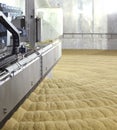 Sprouted barley in a drying kiln at a barley malting plant. Royalty Free Stock Photo
