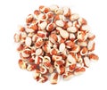sprouted beans isolated on a white background