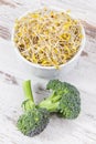 Sprouted broccoli seeds and fresh vegetable. Healthy lifestyle and nutrition