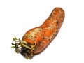 Sprouted carrot on a white background. Vegetable isolate. Rotten carrots