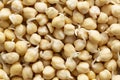 Sprouted chick-peas background. Peas sprouts raw. Source of protein for vegan healthy diet. Close up. Royalty Free Stock Photo