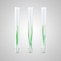 Sprouted grains in glass test tubes (3d render) Royalty Free Stock Photo